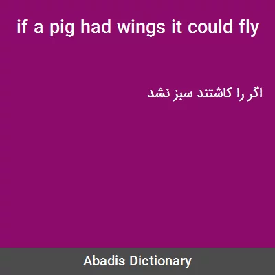 معنی if a pig had wings it could fly